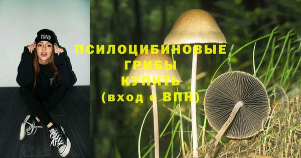 ПСИЛОЦИБИНОВЫЕ ГРИБЫ Елабуга