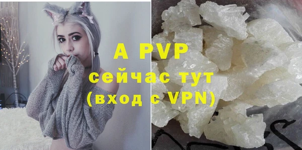 ПСИЛОЦИБИНОВЫЕ ГРИБЫ Елабуга