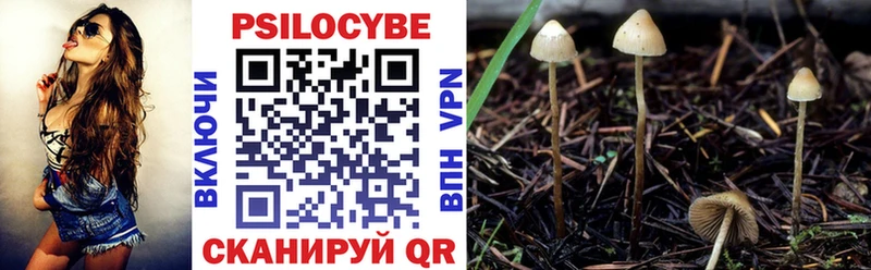 Псилоцибиновые грибы ЛСД  купить  цена  Славск 